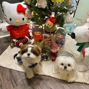 Meet your Posher, Rey